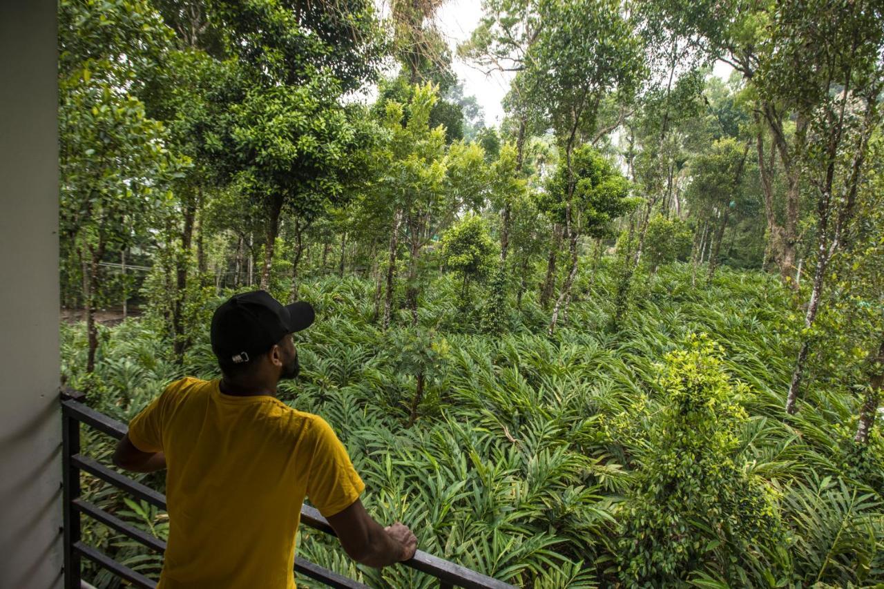 Spice Jungle Resort Munnar Eksteriør billede