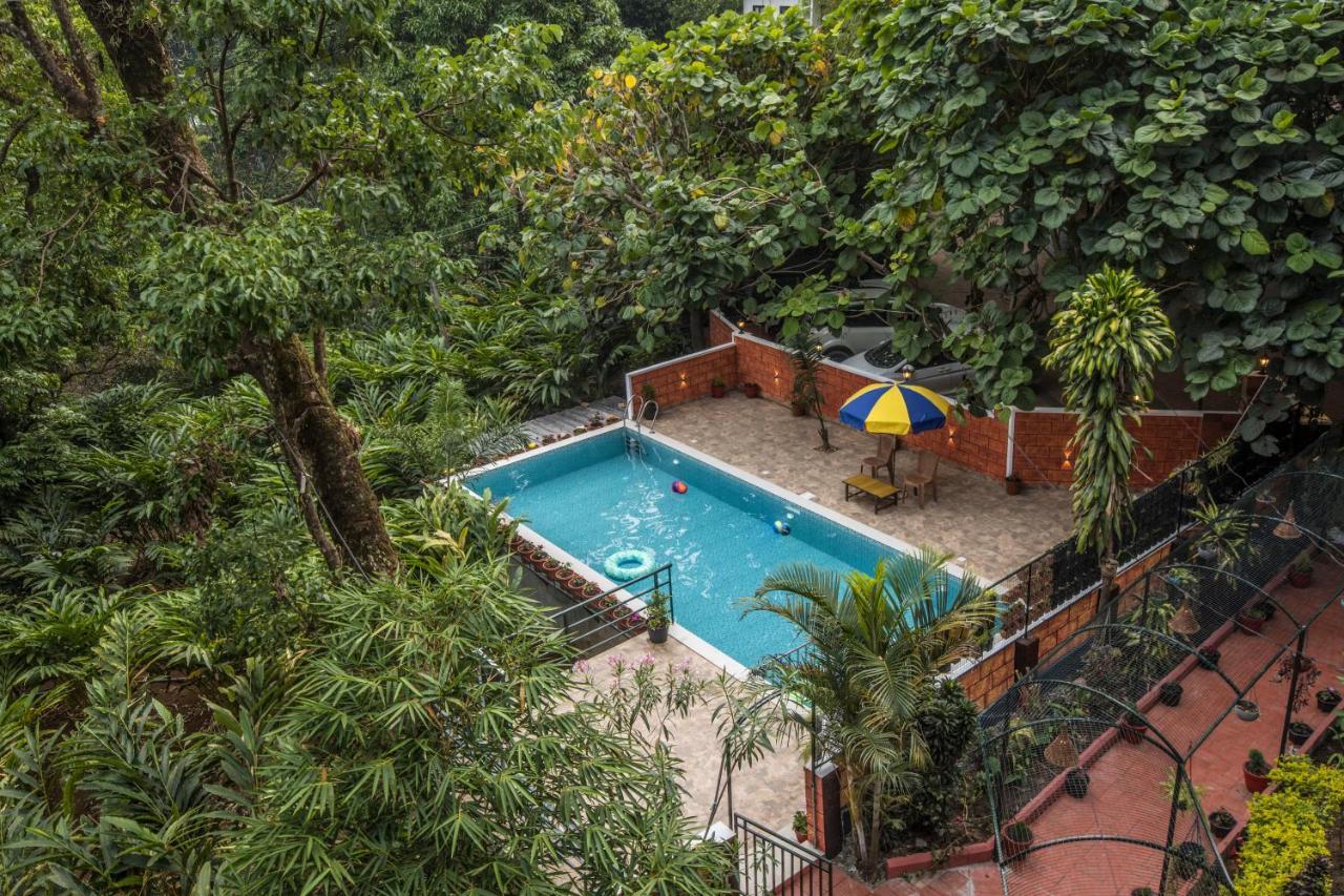 Spice Jungle Resort Munnar Eksteriør billede