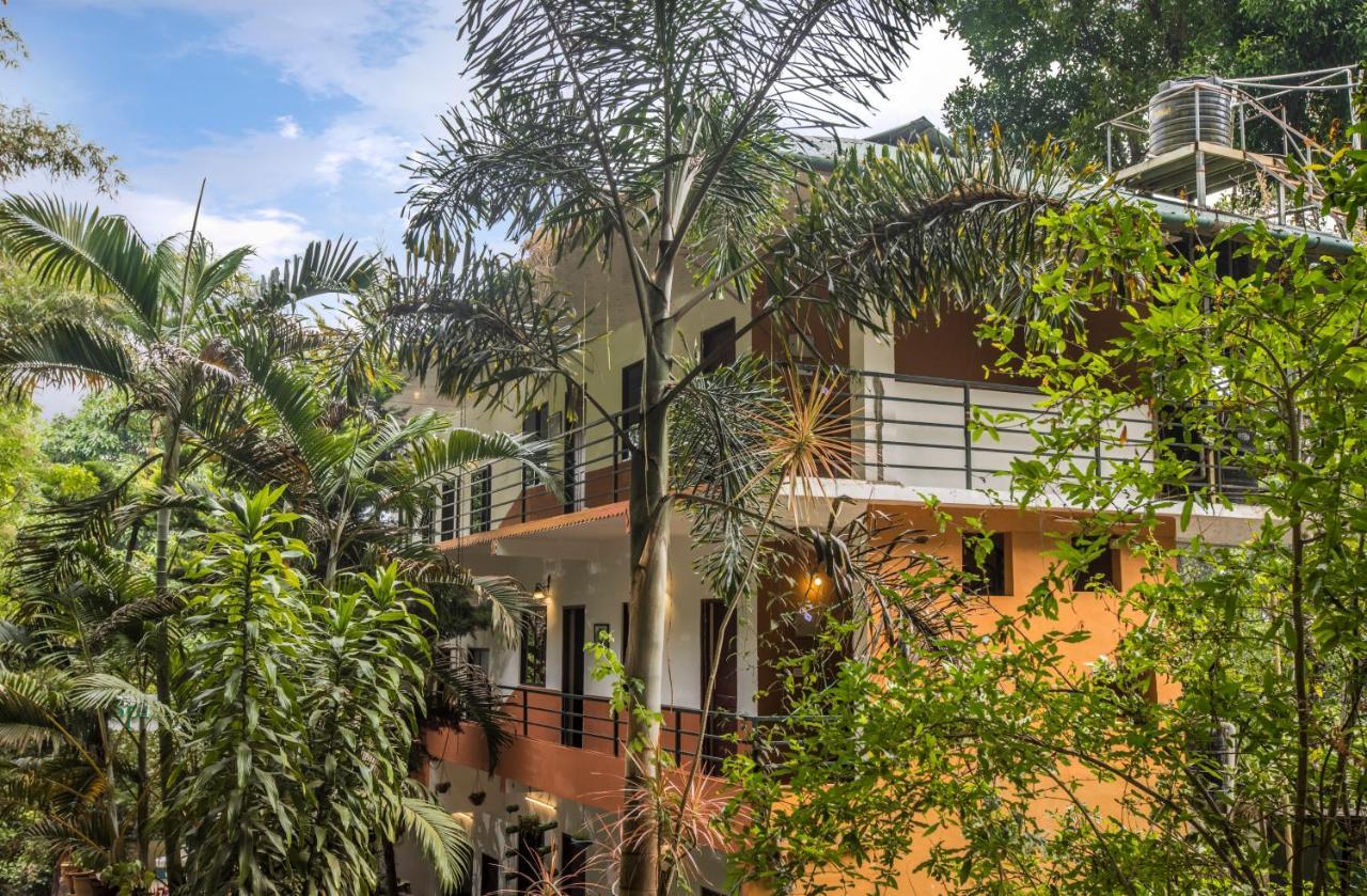 Spice Jungle Resort Munnar Eksteriør billede